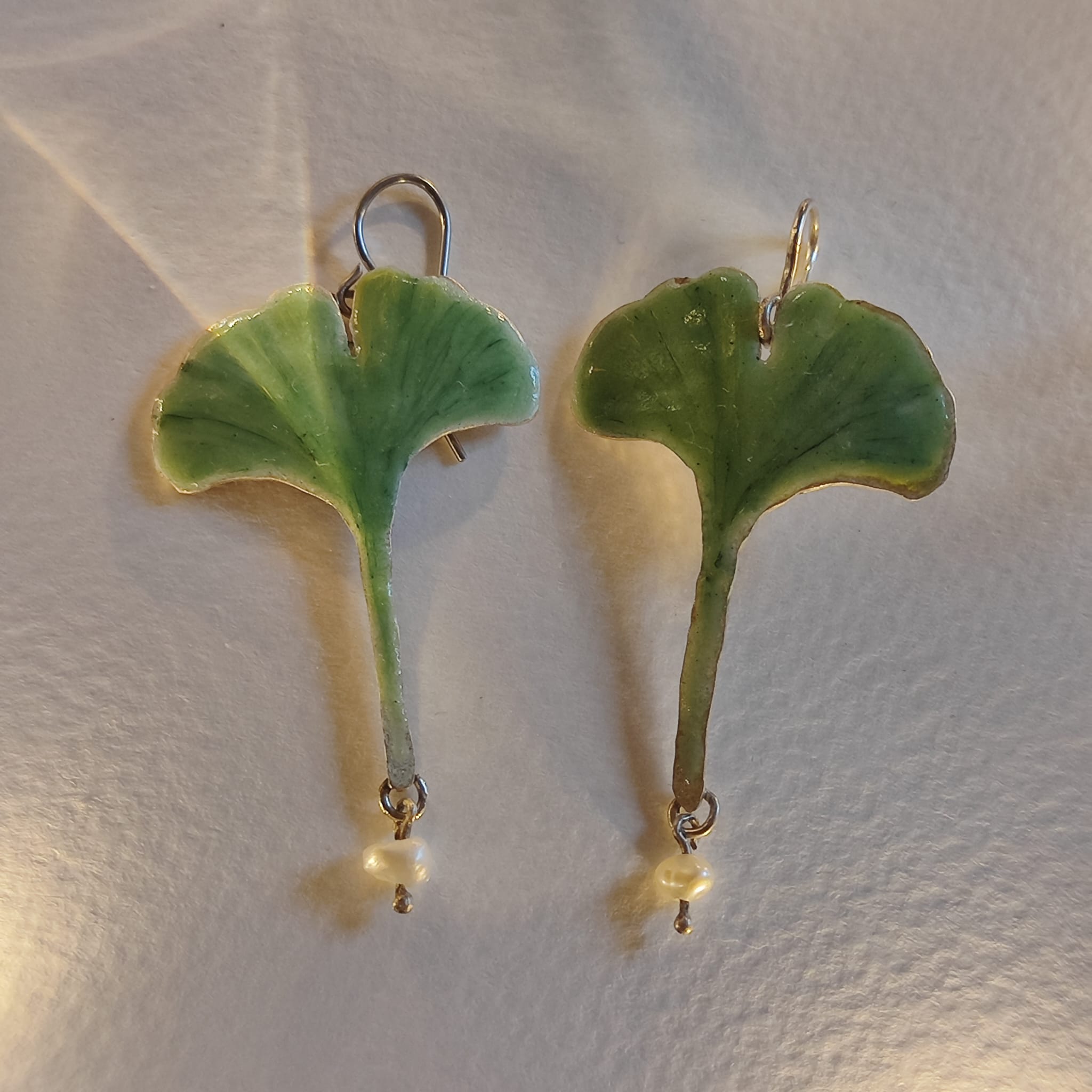 ginkgo biloba