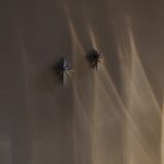 WhatsApp Image 2025-05-15 at 12.54.45